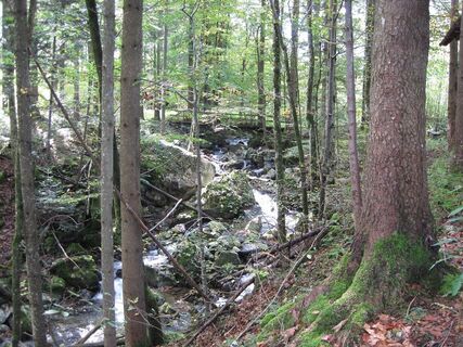 Wasserthemenweg