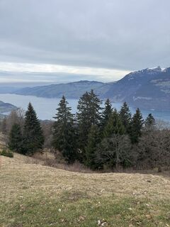 Foto de Mark Zimmerman a lo largo del recorrido