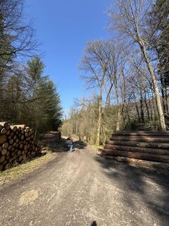 Fotografija s spletne strani Stefan Bonnes na poti