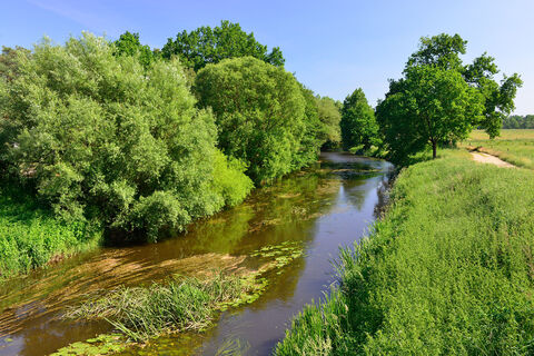 Die Aller bei Gifhorn in der Südheide Gifhorn