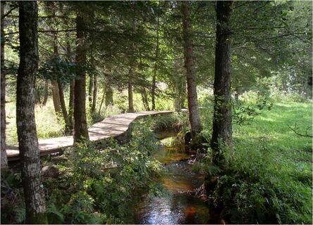 Der Steg entlang des Weirerbach