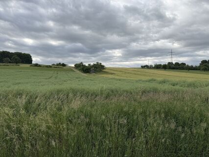 Zdjęcie z Schaali wzdłuż trasy