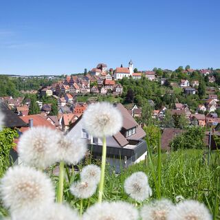Blick auf Altensteig