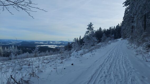 Photo de Thomas Weber le long du parcours