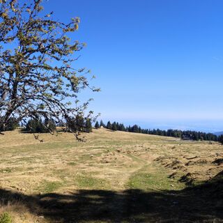 Foto von Christine Krasser entlang der Tour