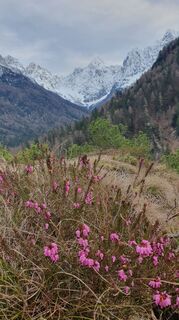 Foto de Anica varga a lo largo del recorrido