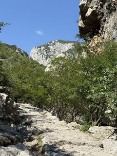 Fotografia z Dan Juvan na trase