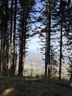 Fotografie z Heinz Sperl na trase