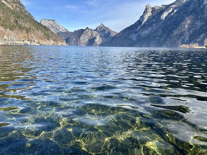 Fotografija s spletne strani Dani Geiger / Natur_erleben_dg na poti
