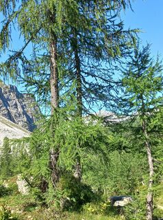 Fotografia z Christa Grailach na trase