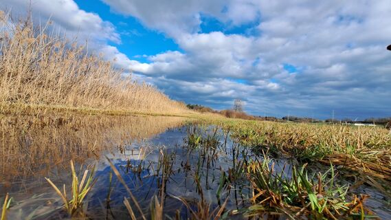 Foto von Anita Lunzer 1 entlang der Tour
