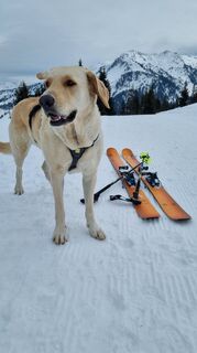 Foto von Jagattack entlang der Tour
