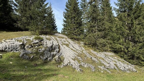 Fotó a peter_oe honlapról a túra során