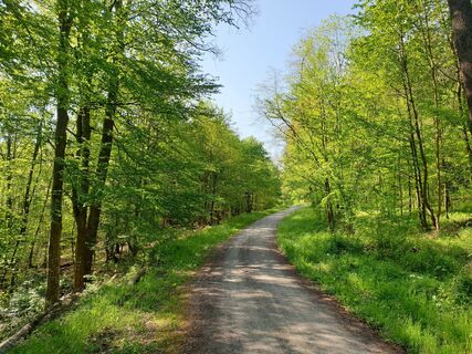 Rund um Waldbronn