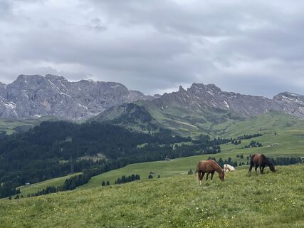 Photo de Daniela Schattauer le long du parcours
