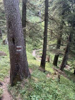 Foto från Karl Heinz Fick under resans gång