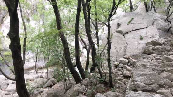 Foto de Lomalinda a lo largo del recorrido