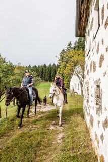 WanderreitenPferdereichStoablossHerbstFrau03_PferdereichMuehlviertlerAlmErber.jpg