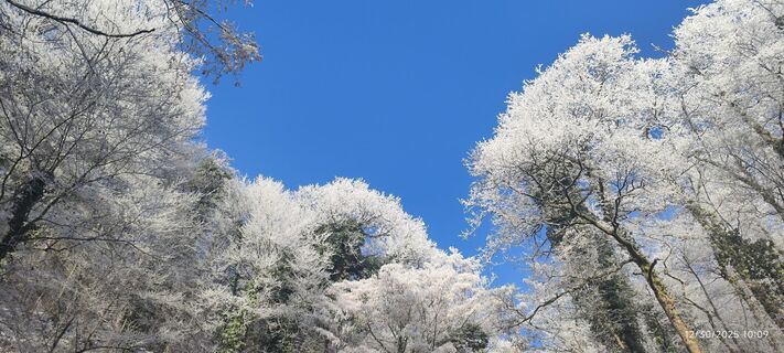 Fotografija s spletne strani Radana Čalić na poti