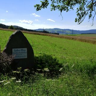 NWKW_Tag03_Guglwald_0165