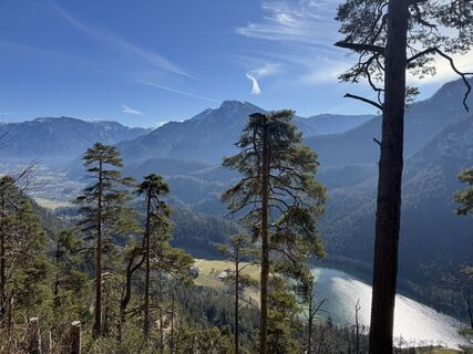 Foto från AloisBauer under resans gång