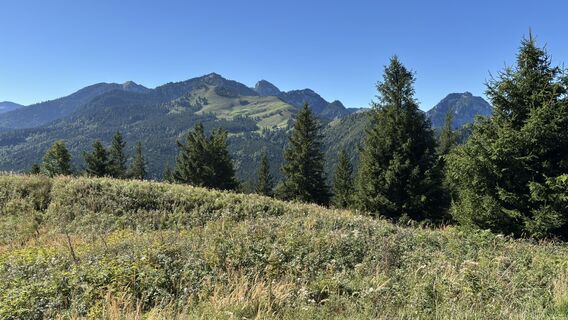 Fotografie z Carlo na trase