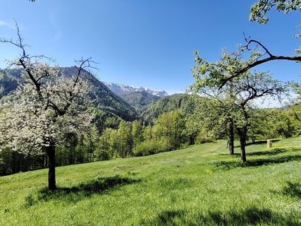 Fotografija s spletne strani Angelika Silberhuber na poti