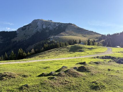Photo de Natur_erleben_dg le long du parcours