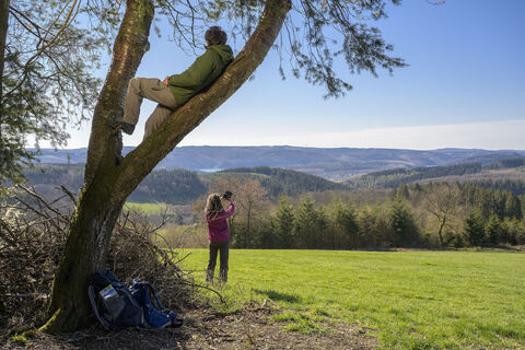 Wanderer auf einem Baum mit toller Aussicht