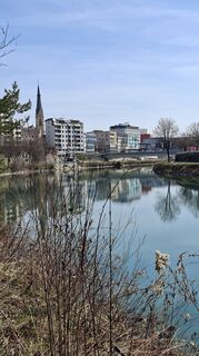 Foto de Mangolein a lo largo del recorrido