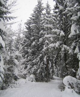 Am Anfang der Rodelbahn