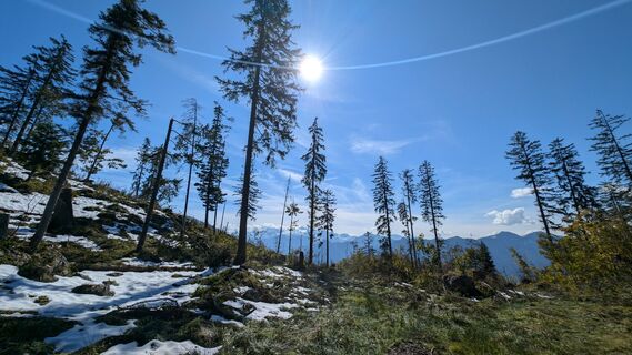 Fotografija s spletne strani Klaus Lehner na poti