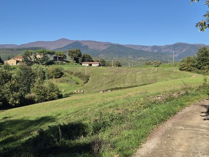 Foto de Thomi W a lo largo del recorrido