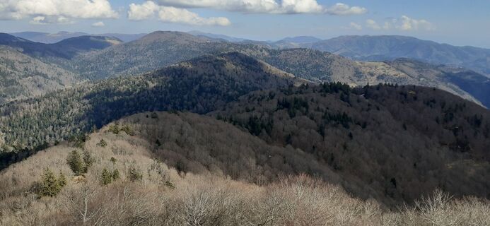 Zdjęcie z Bernard Piat wzdłuż trasy