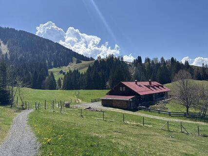 Foto von Similaun entlang der Tour