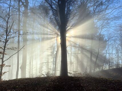 Фото с сайта Thomas Schekira во время экскурсии