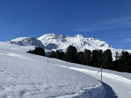 Photo de Andre Tatter le long du parcours