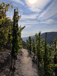 Fotografia z Anke Regitz na trase