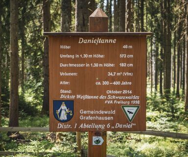 Informationstafel Danieltanne