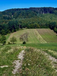 Fotografija s spletne strani Kellner Heidi na poti