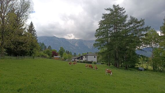 Fotografie z Bergpirat na trase