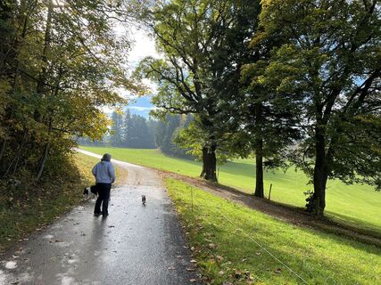 Photo de Helmut Woehrer le long du parcours