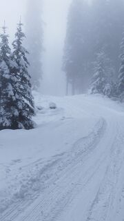 Zdjęcie z Marchl wzdłuż trasy