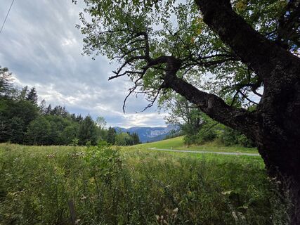 Photo de Michael Kammerer 2 le long du parcours