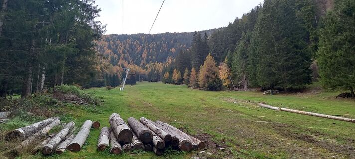 Foto von Corvovado entlang der Tour