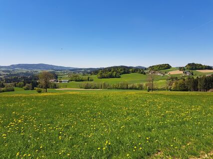 Foto de Bellou a lo largo del recorrido