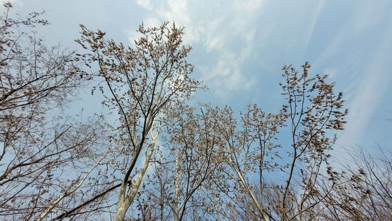 Foto von Juliane Jarke entlang der Tour