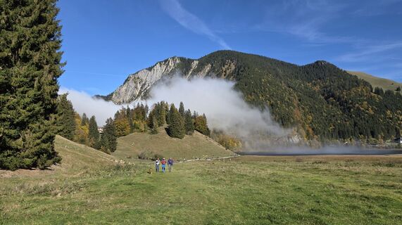 Fotografija s spletne strani ThoWo na poti