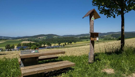 Lauschpohl "Riesenbank" bei Felbecke
