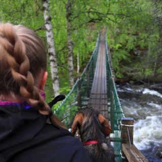 Hängebrücke Myllykoski, Pieni Karhunkierros, Nationalpark Oulanka